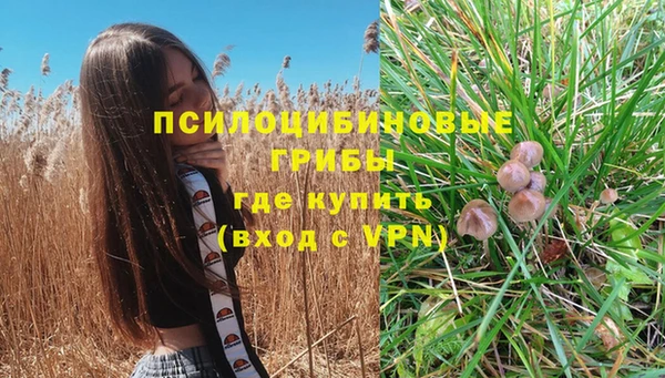 спиды Балабаново