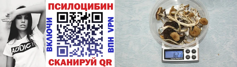 Псилоцибиновые грибы Cubensis  Купино 